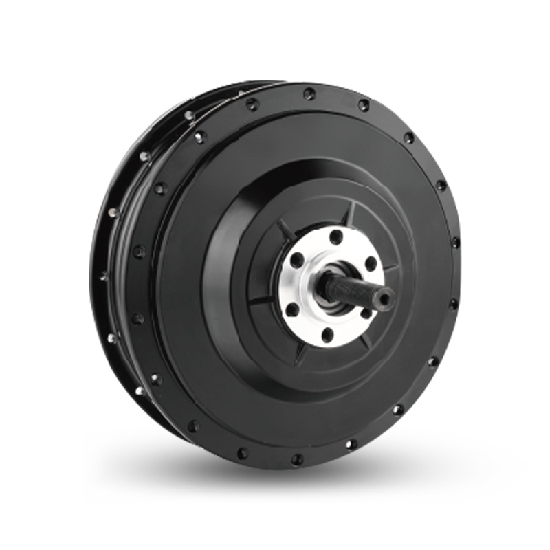 Motor do cubo traseiro tipo E RF500